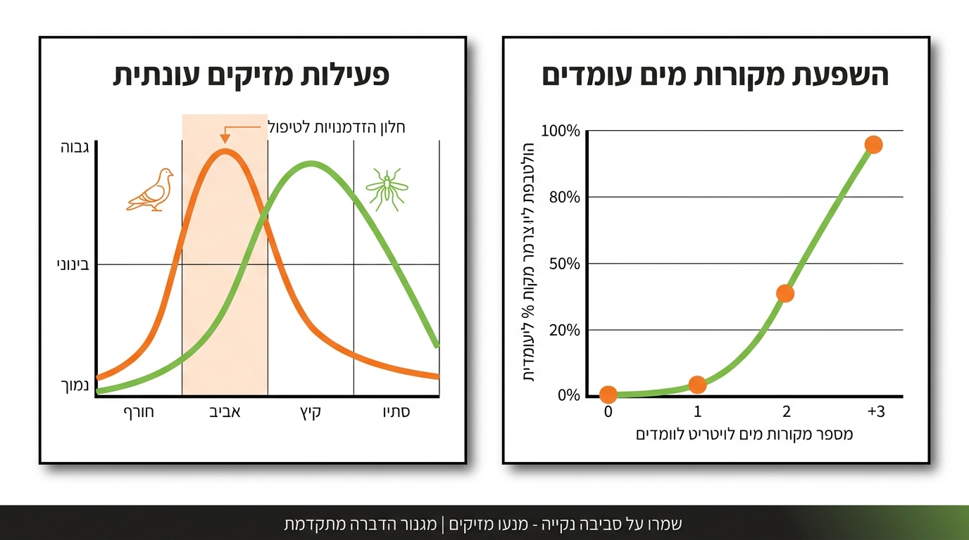 ניקוי בטוח של גללי יונים ועטלפים - ציוד מגן ופרוטוקול עבודה