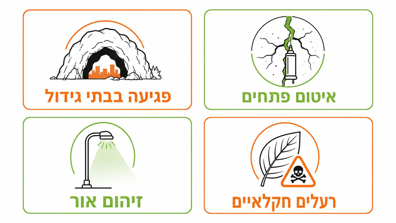השוואה בין עטלף פירות לעטלף חרקים בישראל