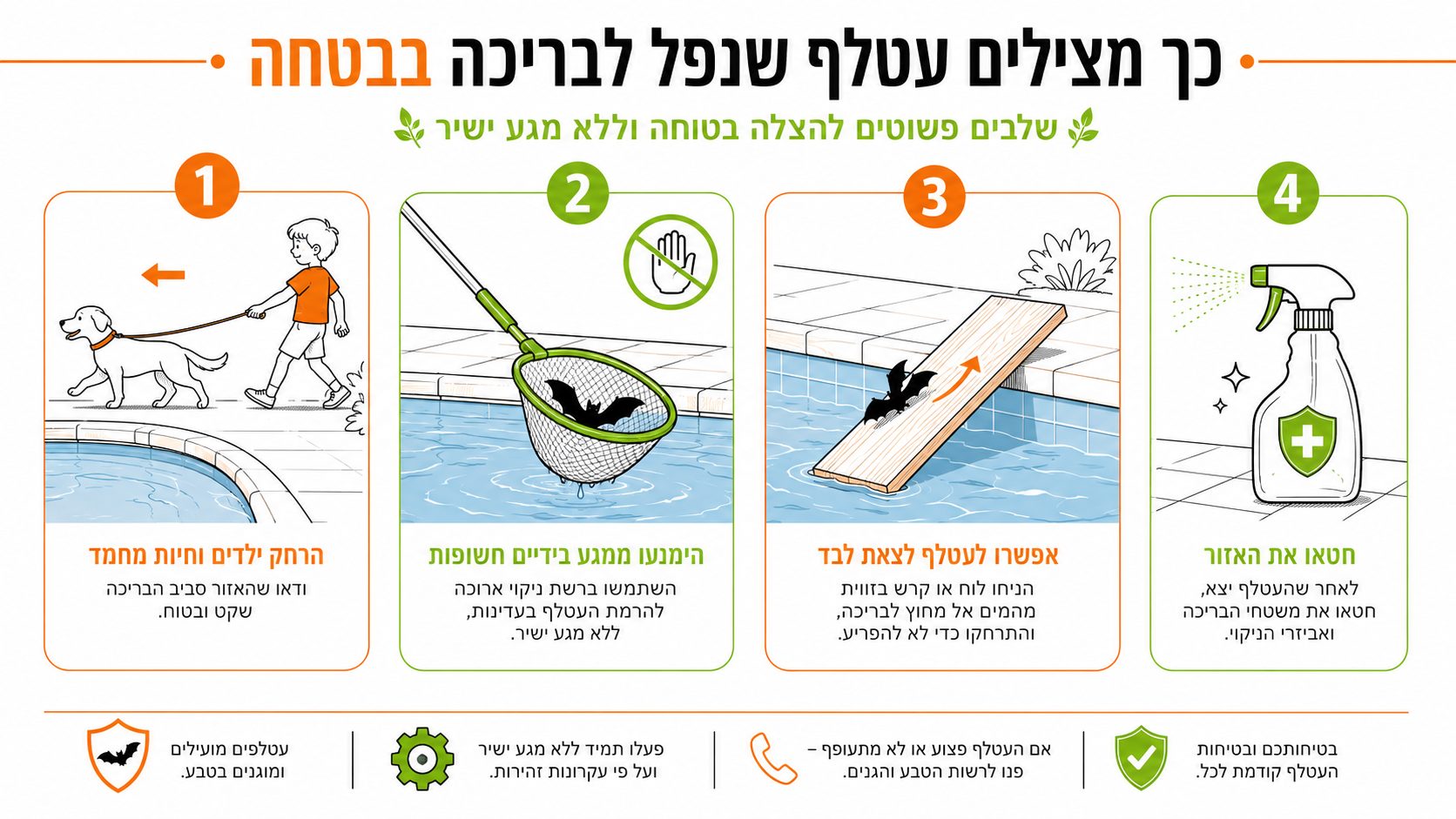 תרשים המתאר את מסלול צלילת עטלף מעל פני מים בבריכה