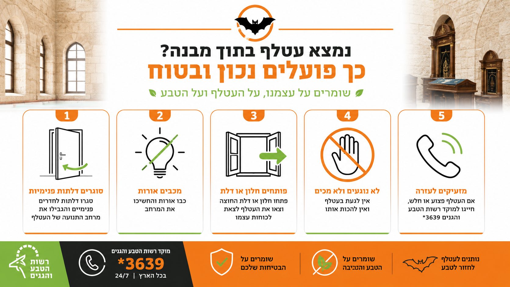 הצטברות לשלשת עטלפים בעליית גג של מבנה ציבורי ליד פתח כניסה
