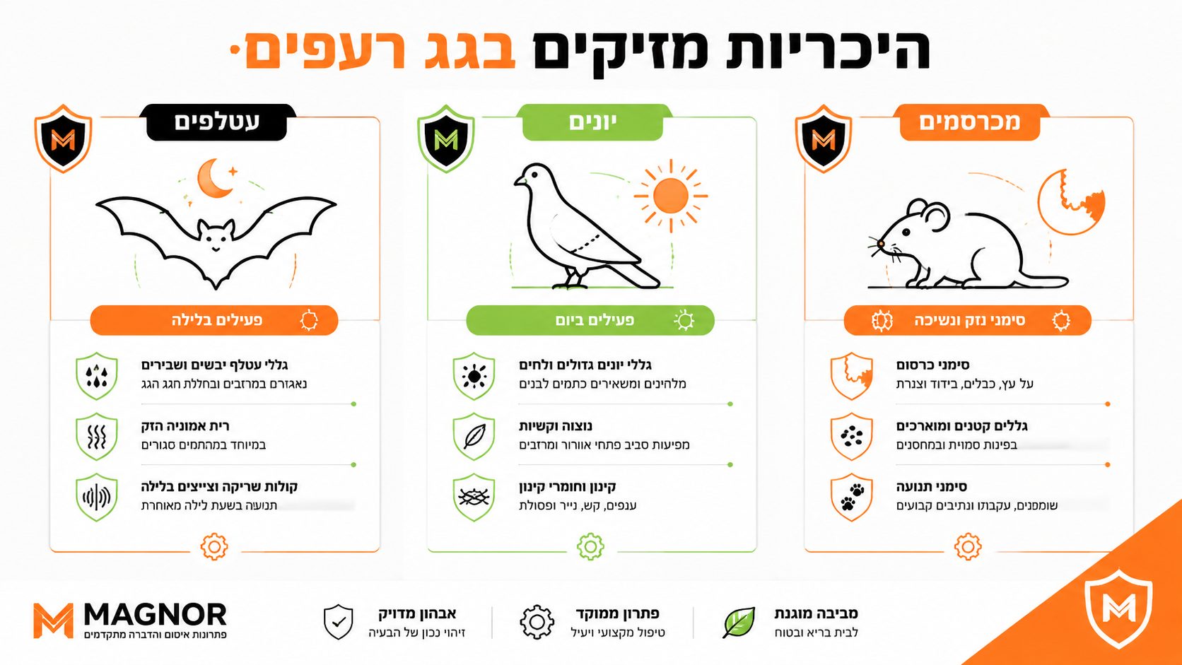 הצטברות לשלשת עטלפים בחלל תת-הרעפים